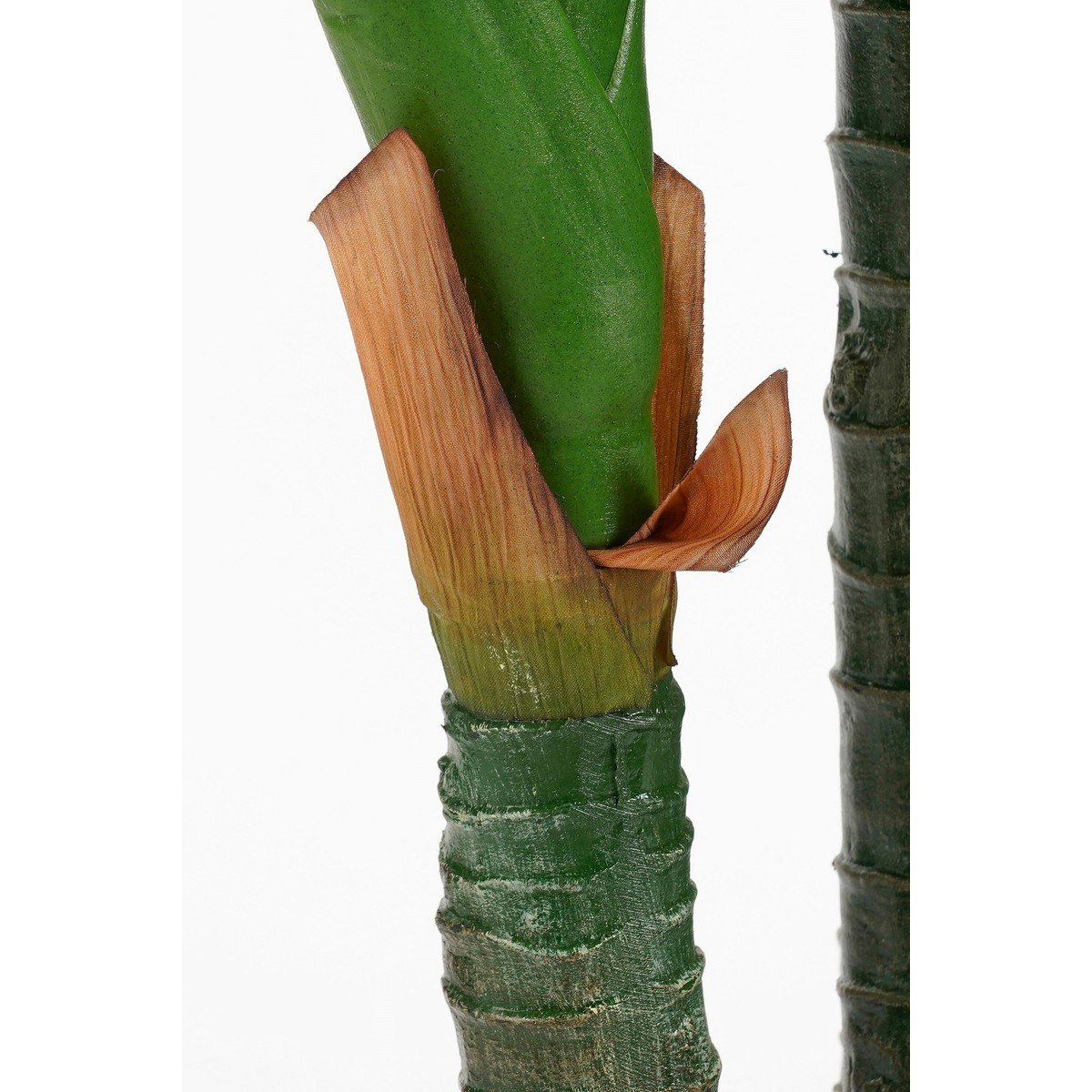Kunstplant Dieffenbachia Groen