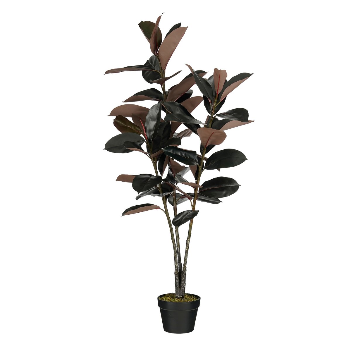 Künstliche Pflanze Gummibaum Rot – SAMTEX