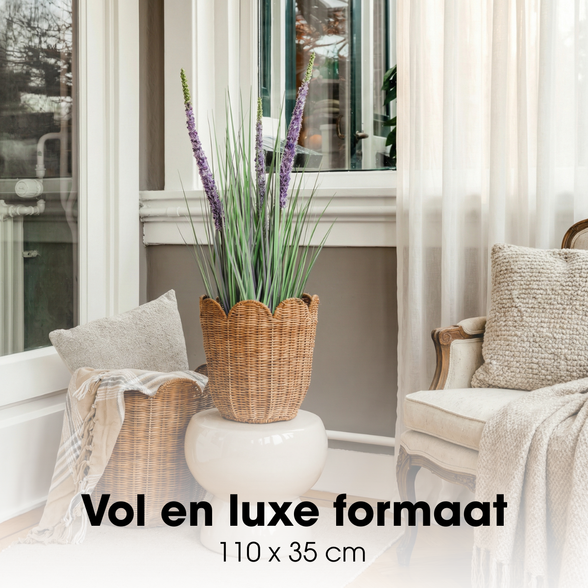 Konschtplanz Ziergras violett