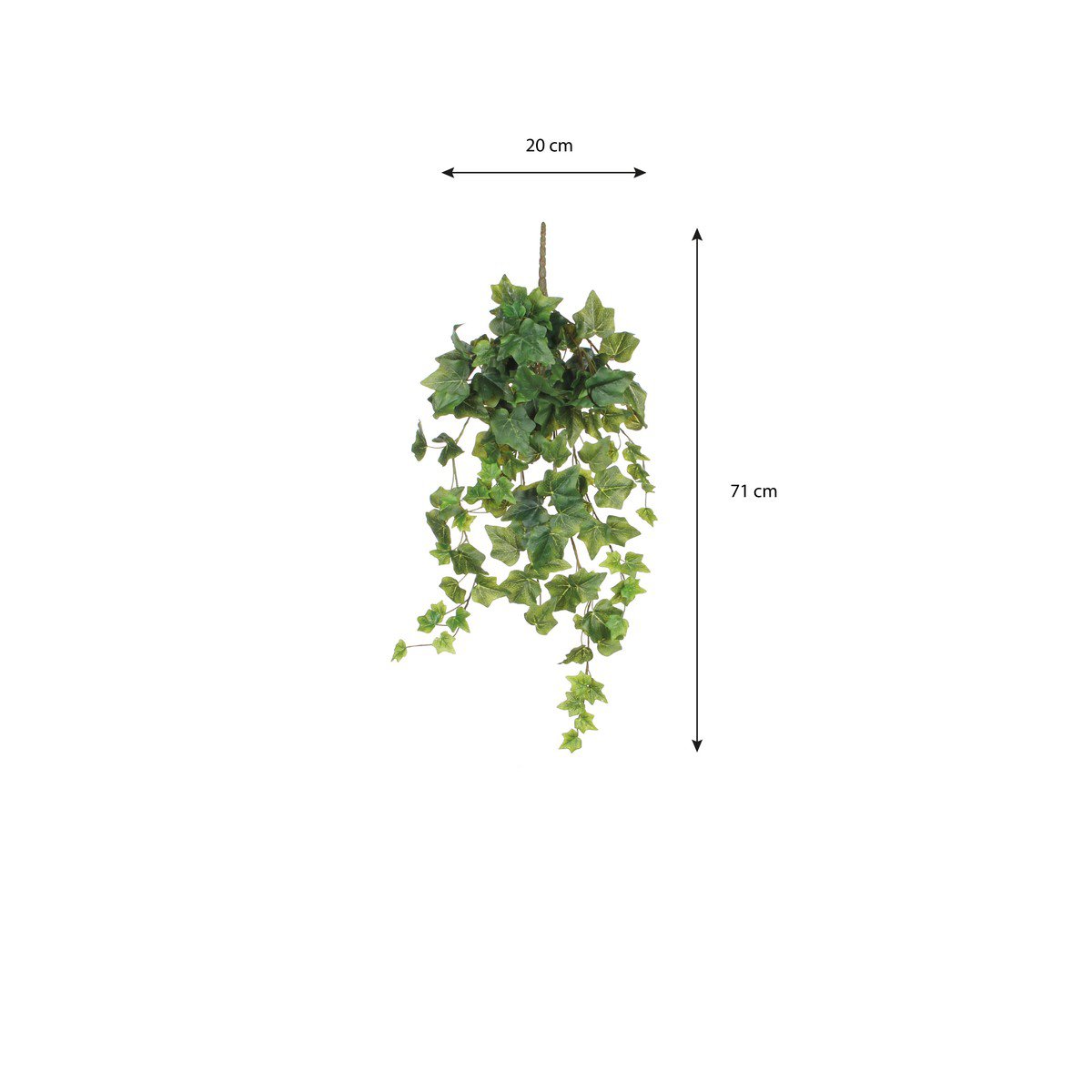 Konschtplanz Ivy Gréng