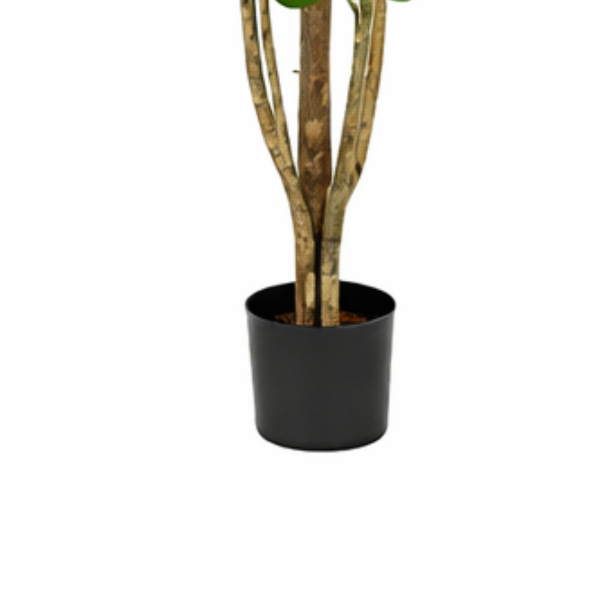 Kënschtlech Eucalyptusbeem gréng