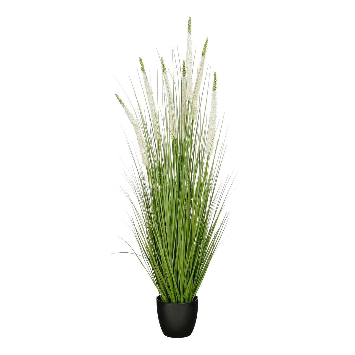 Konschtplanz Ziergras Wäiss