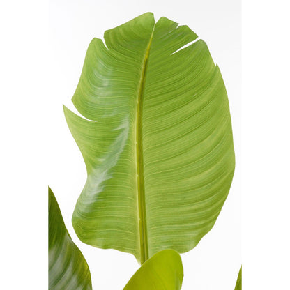 Plante artificielle Verte
