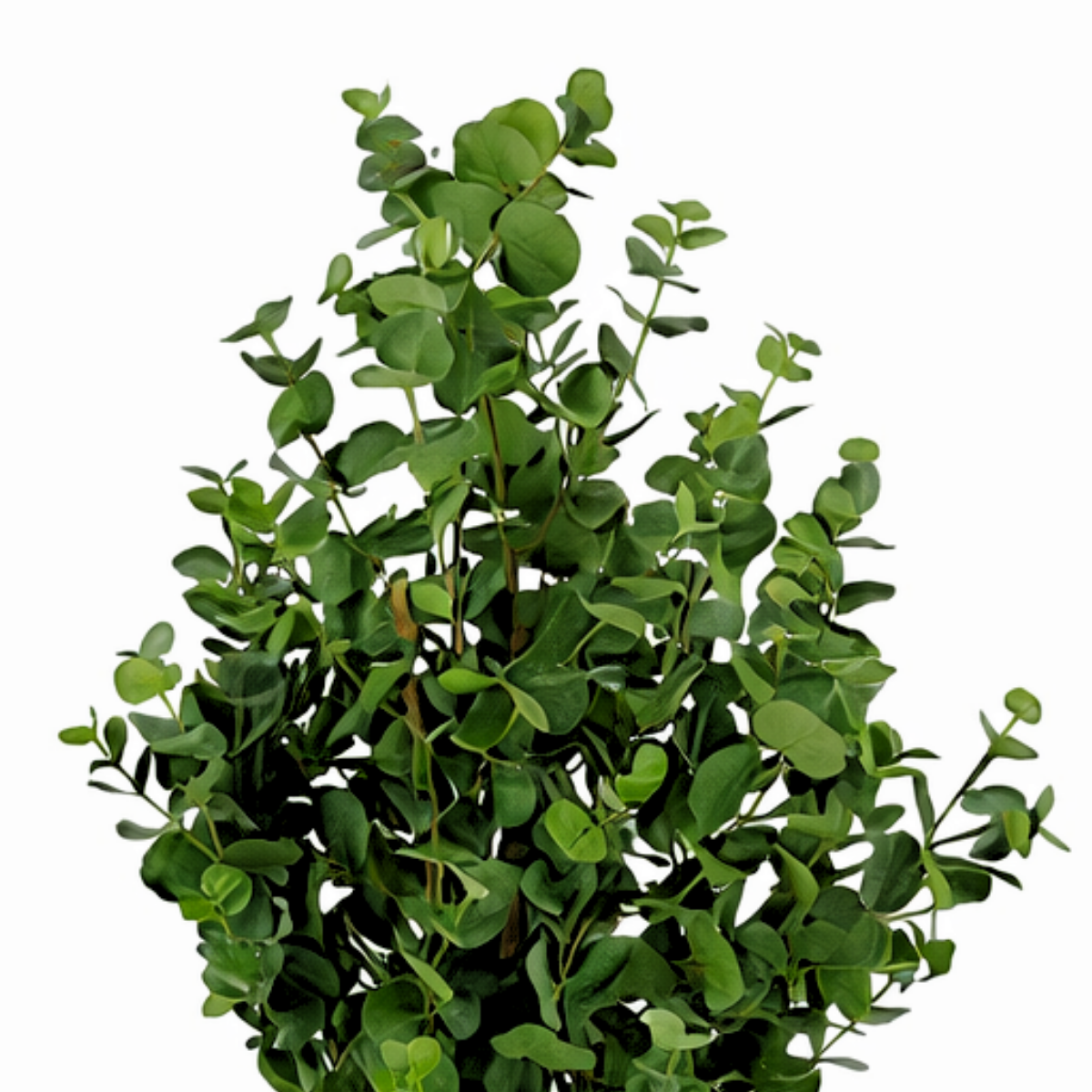 Kënschtlech Eucalyptusbeem gréng