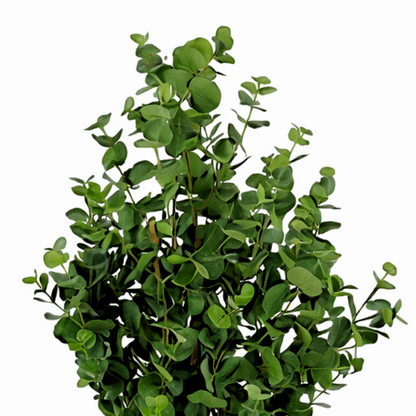 Kënschtlech Eucalyptusbeem gréng