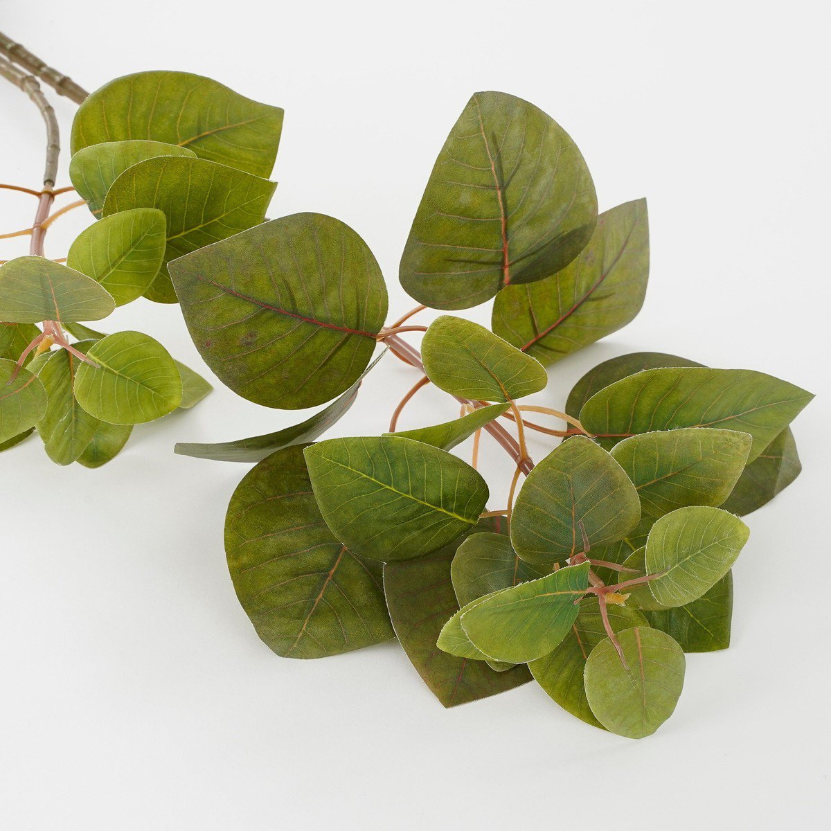 Plante artificielle Verte