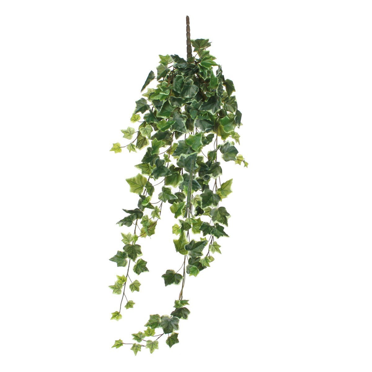 Plante artificielle lierre vert