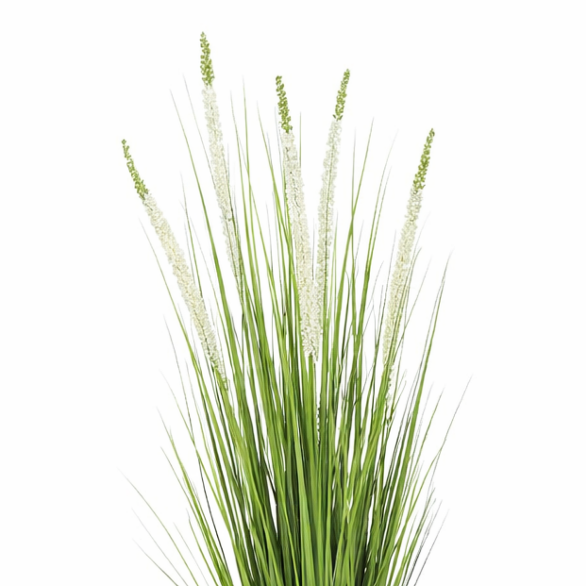Artificial Ornamental Grass White