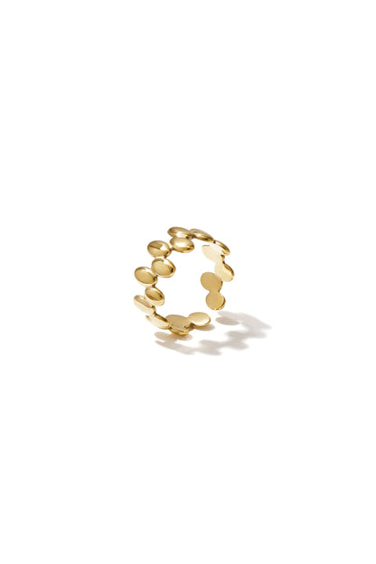 ring rondjes