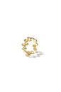 ring rondjes