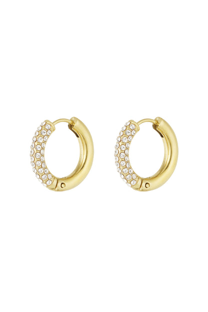 Shiny Rings oorbellen