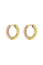 Shiny Rings oorbellen