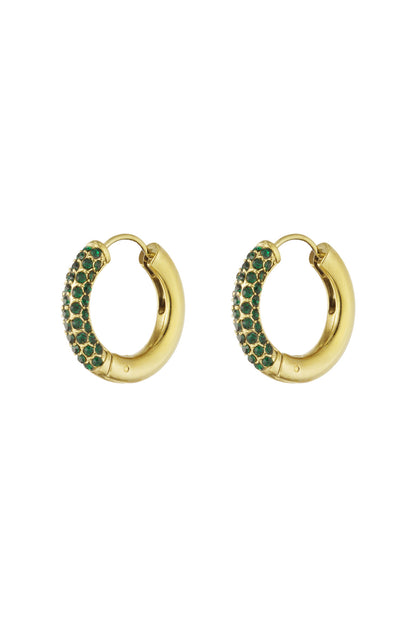 Shiny Rings oorbellen