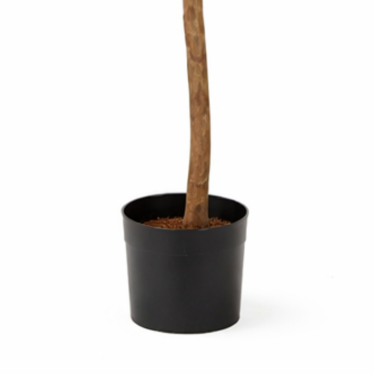 Kunstpflanze Ficus Grün