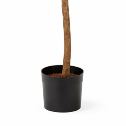 Kunstpflanze Ficus Grün