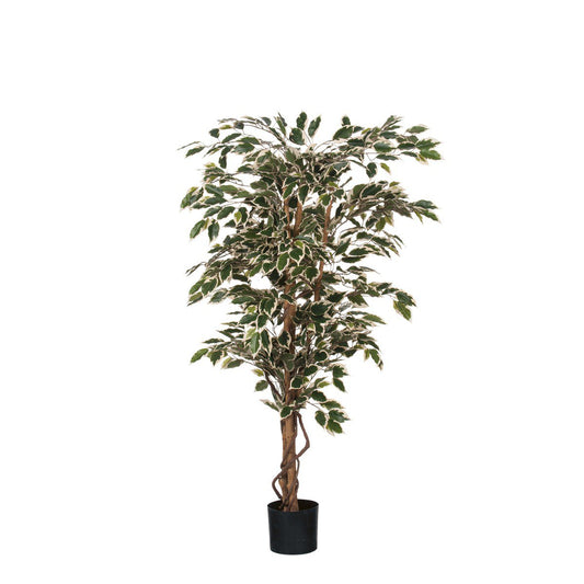 Kunstplant Ficus Groen