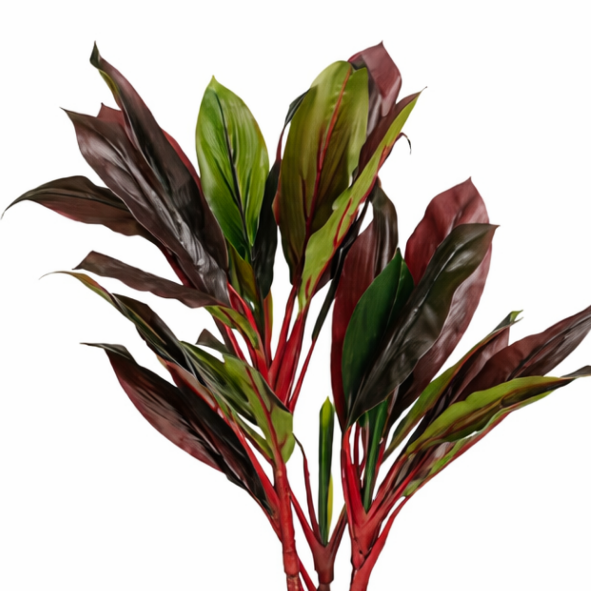Kunstpflanze Cordyline Rot