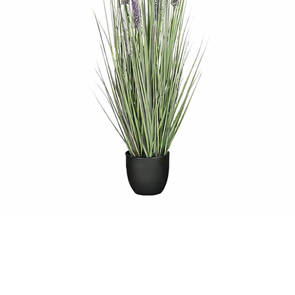 Konschtplanz Ziergras violett