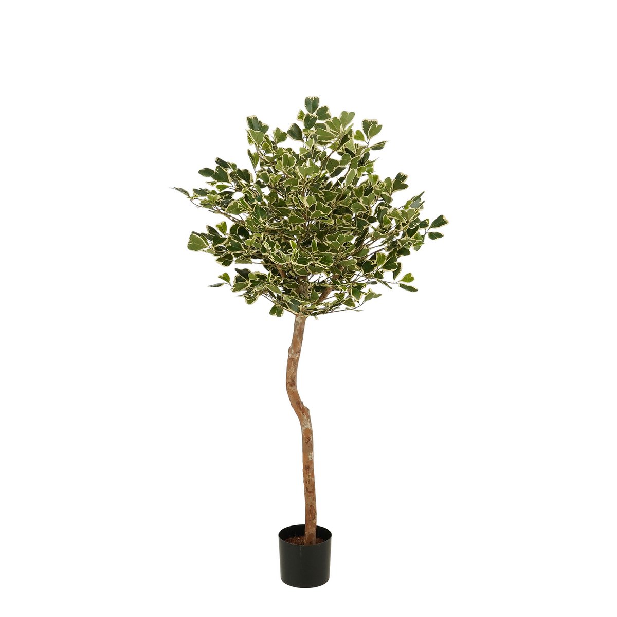 Kunstpflanze Ficus Grün