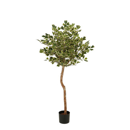 Kunstpflanze Ficus Grün