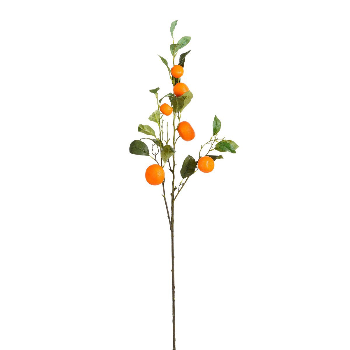 Decoratieve tak  Oranje