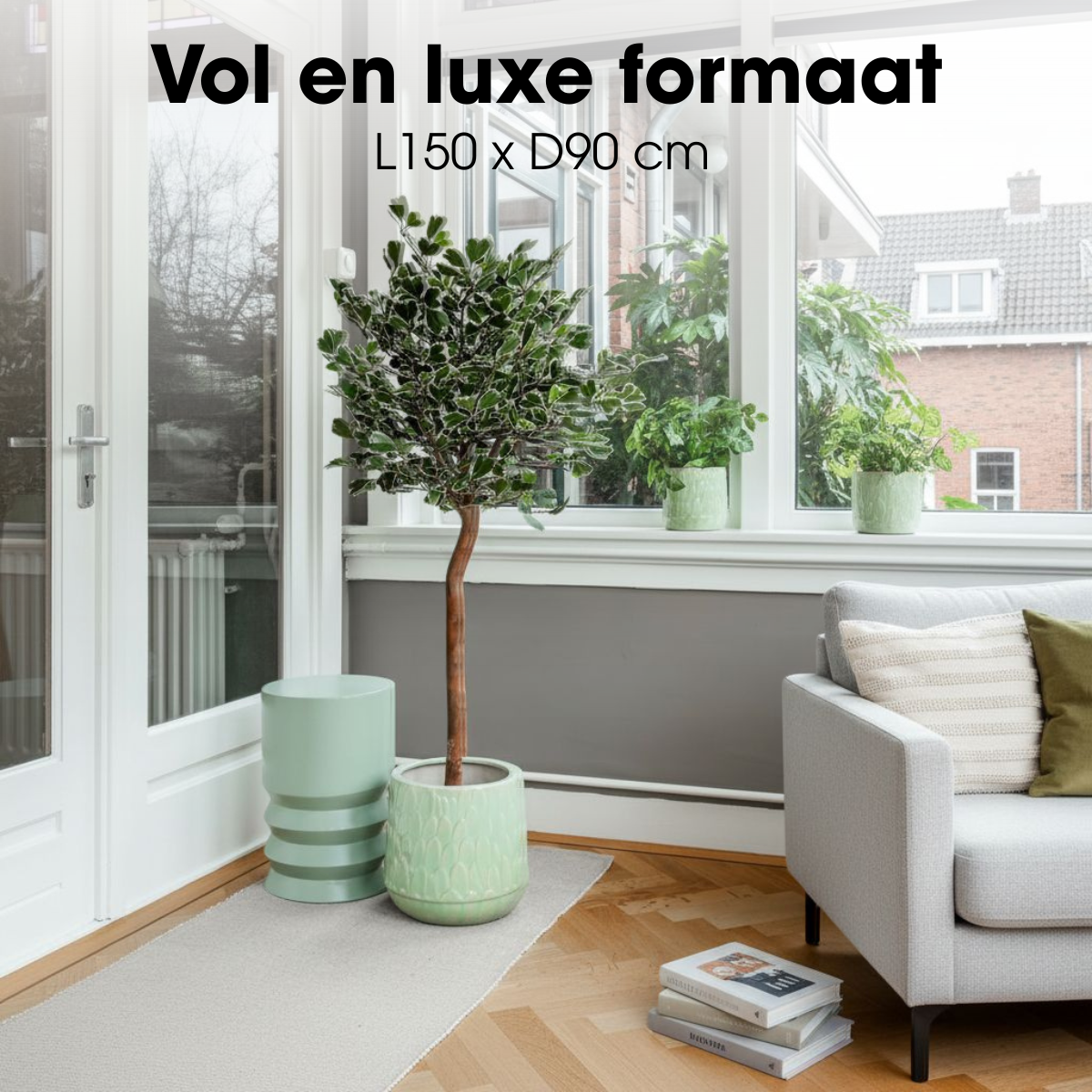 Kunstpflanze Ficus Grün