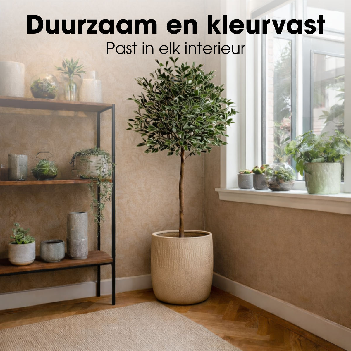 Kunstpflanze Ficus Grün