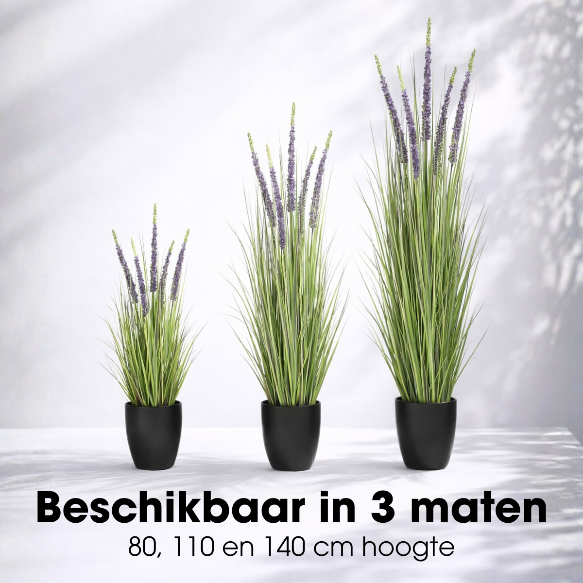 Konschtplanz Ziergras violett