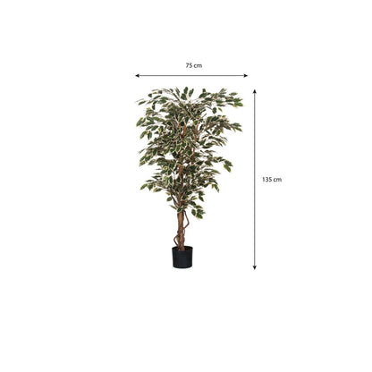 Kunstplant Ficus Groen