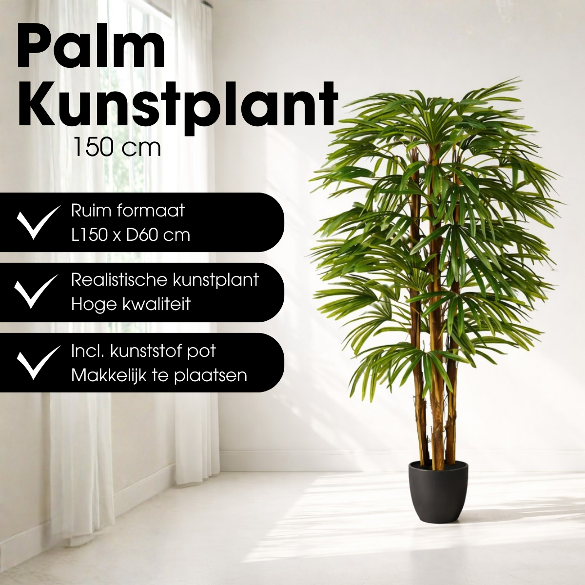 Konschtplanz Raphis-Palm gréng