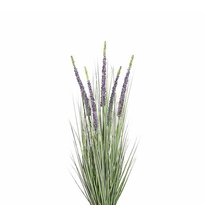 Konschtplanz Ziergras violett