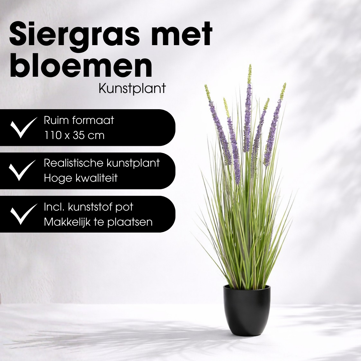 Konschtplanz Ziergras violett