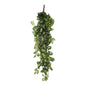Kunstplant Fittonia Groen