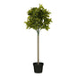 Kunstplant Laurel Groen