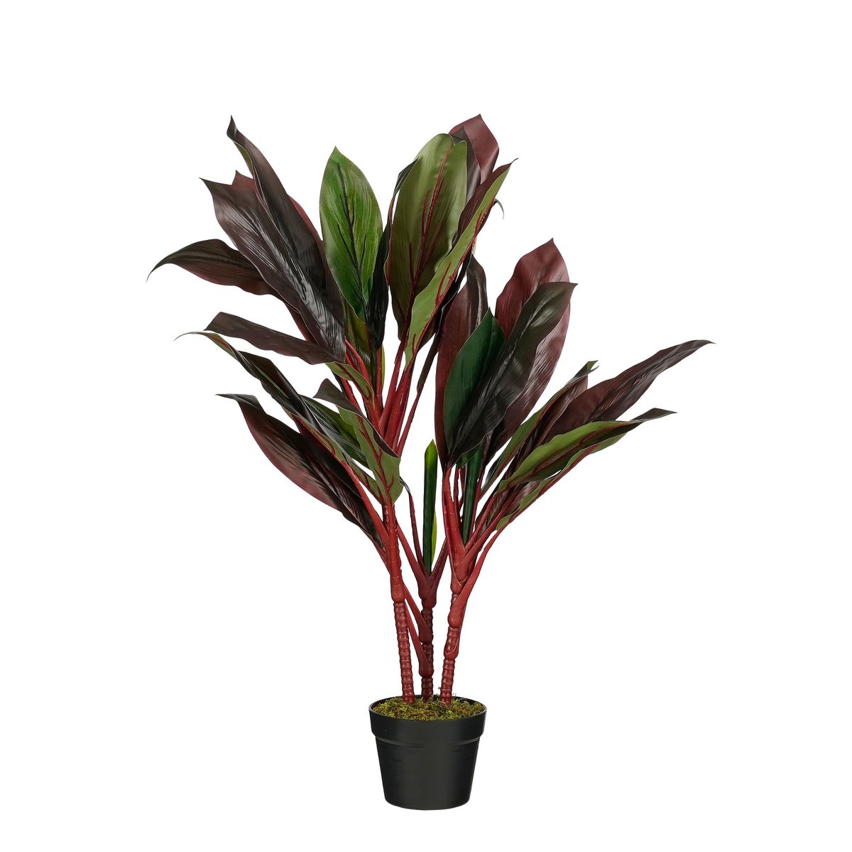 Kunstpflanze Cordyline Rot