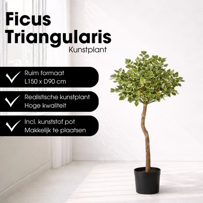 Kunstpflanze Ficus Grün