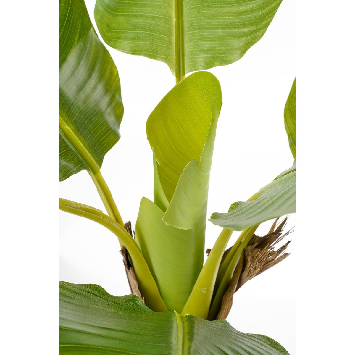 Plante artificielle Verte