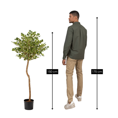 Kunstpflanze Ficus Grün