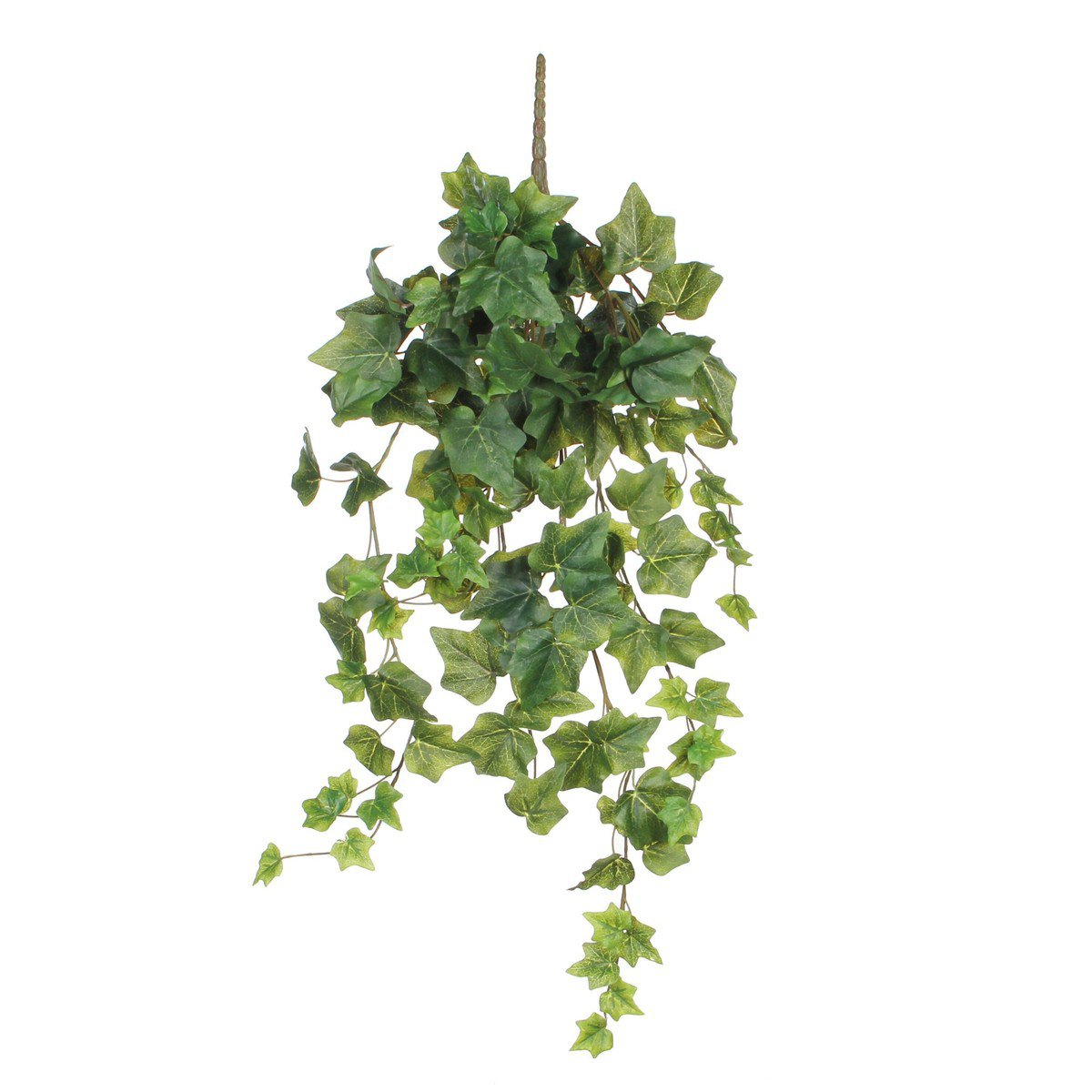 Konschtplanz Ivy Gréng