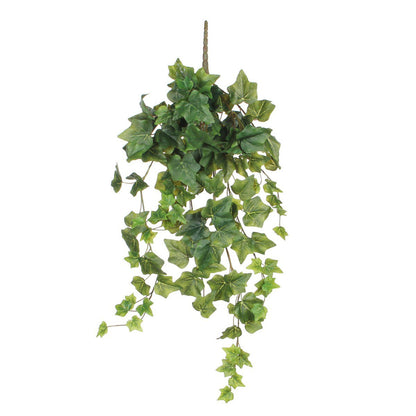 Konschtplanz Ivy Gréng