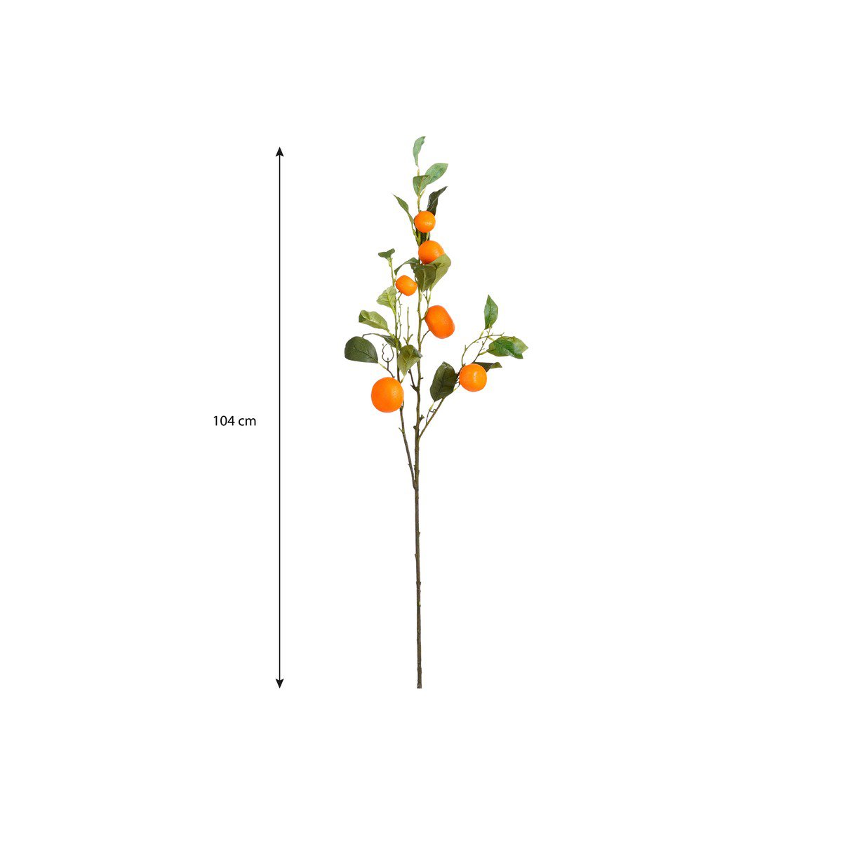 Decoratieve tak  Oranje